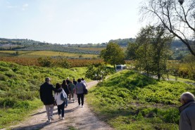 Visite aziendali: Dove nascono i sapori